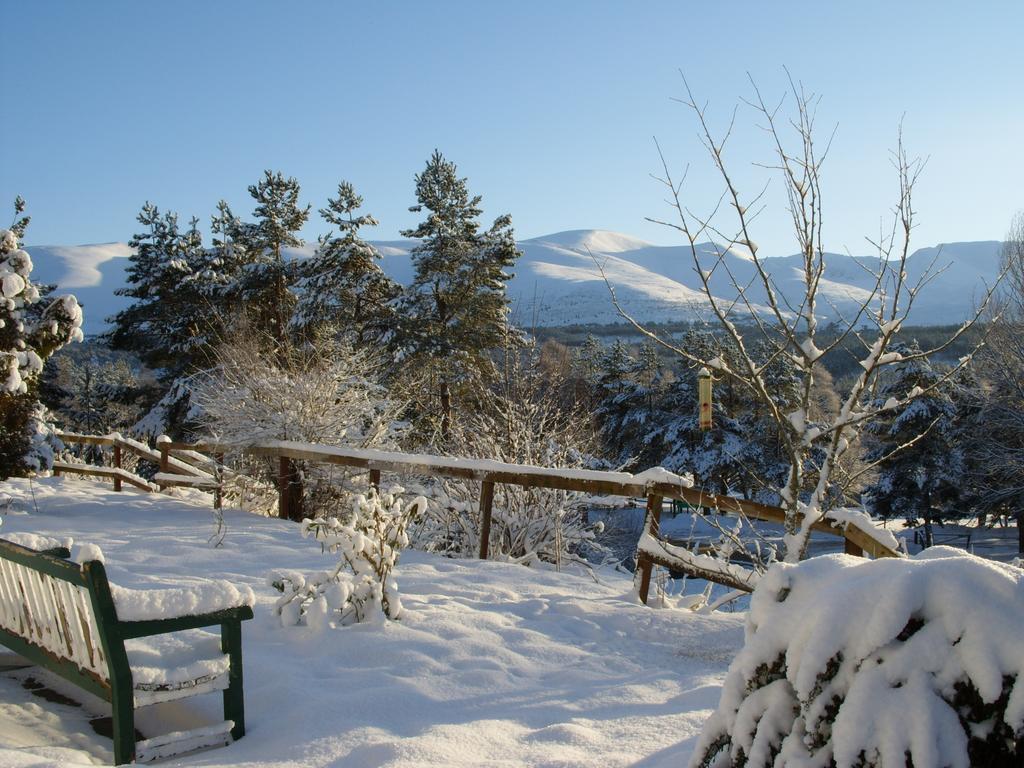 Cairngorm Lodge Youth Hostel Loch Morlich Ngoại thất bức ảnh