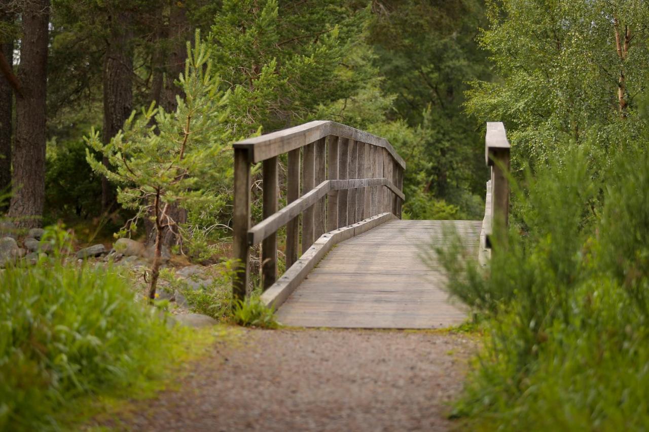 Cairngorm Lodge Youth Hostel Loch Morlich Ngoại thất bức ảnh