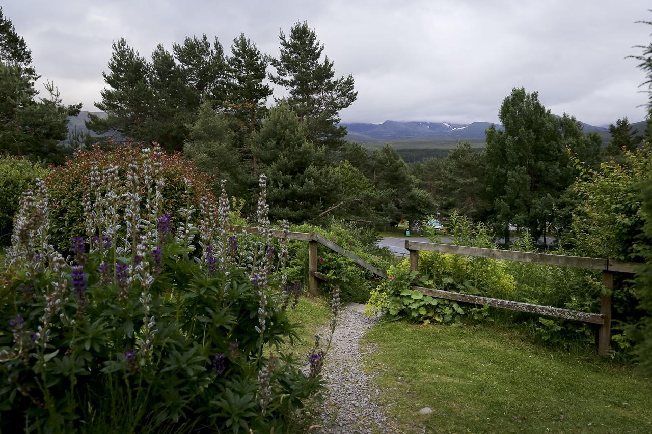Cairngorm Lodge Youth Hostel Loch Morlich Ngoại thất bức ảnh