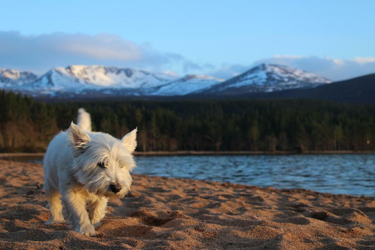 Cairngorm Lodge Youth Hostel Loch Morlich Ngoại thất bức ảnh